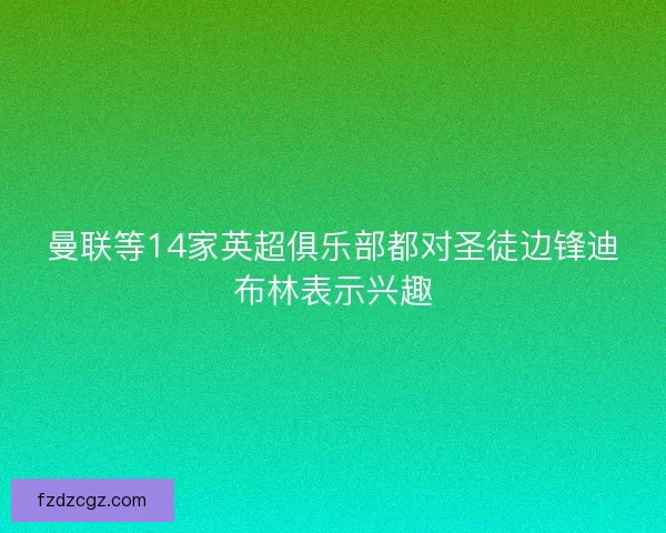 曼联等14家英超俱乐部都对圣徒边锋迪布林表示兴趣